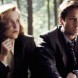 The X-Files enqu�tes : on a besoin de vous !