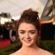 22nd Annual Screen Actors Guild Awards