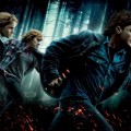 Harry Potter 7 cette semaine!