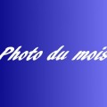 Nouvelle photo du mois