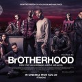 Sortie imminente de Brotherhood