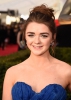 Doctor Who 22nd Annual Screen Actors Guild Awards 