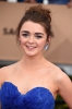Doctor Who 22nd Annual Screen Actors Guild Awards 