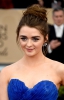 Doctor Who 22nd Annual Screen Actors Guild Awards 