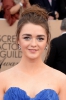 Doctor Who 22nd Annual Screen Actors Guild Awards 