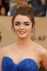 Doctor Who 22nd Annual Screen Actors Guild Awards 