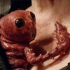 Doctor Who Aliens saison 7-Sansgue rouge 