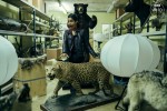 Doctor Who Galerie BTS Episode 13.07 
