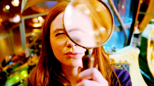 Amy Pond- The lodger
