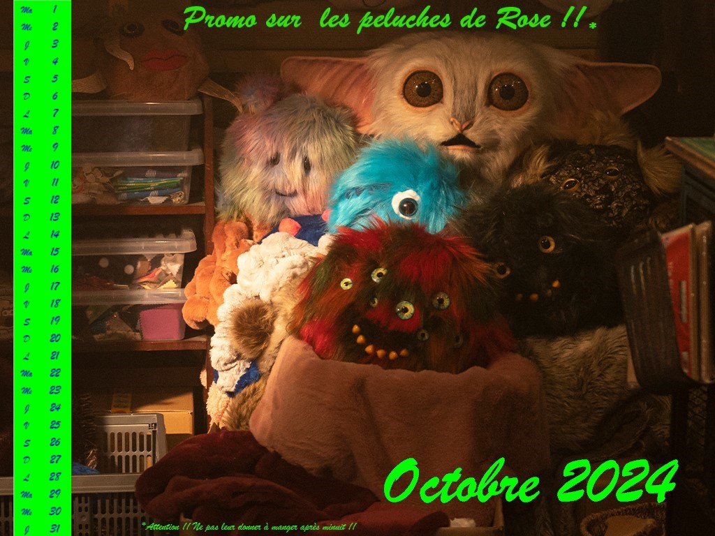Doctor Who Hypnoweb : Calendrier Octobre 2024 Les peluches de Rose Noble