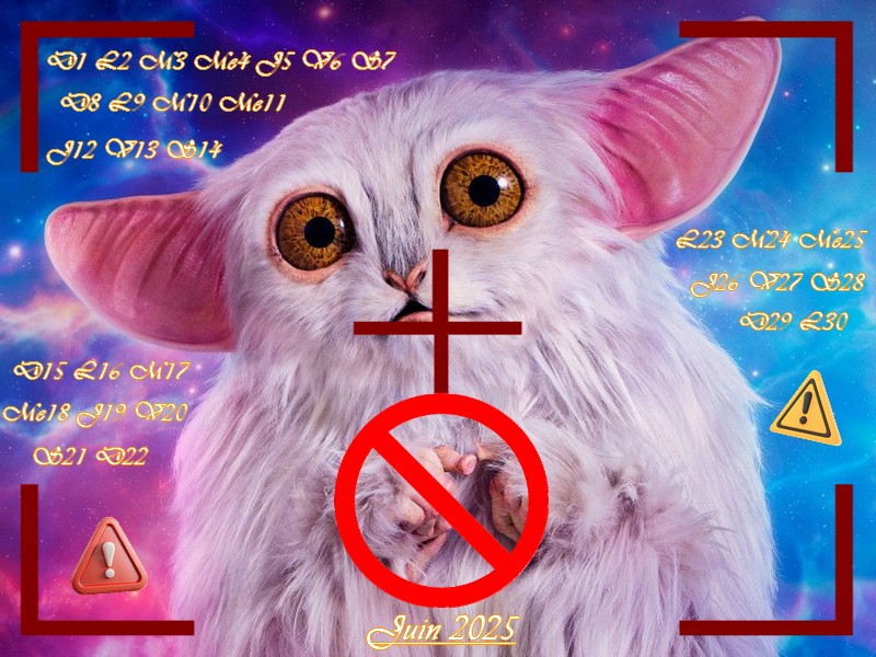 Calendrier de Juin 2025 par Choup37 : Le Meep